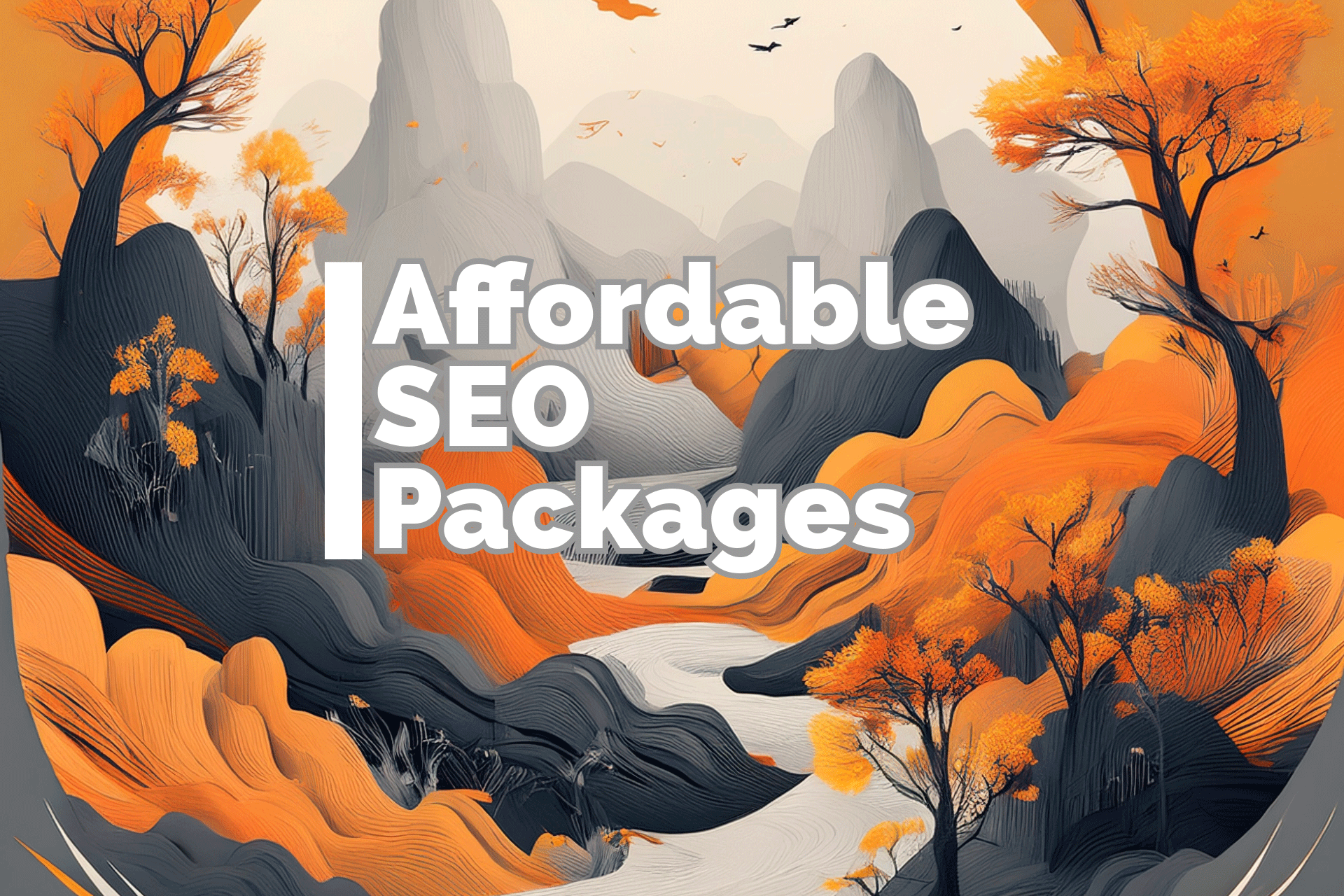 Affordable SEO Packages